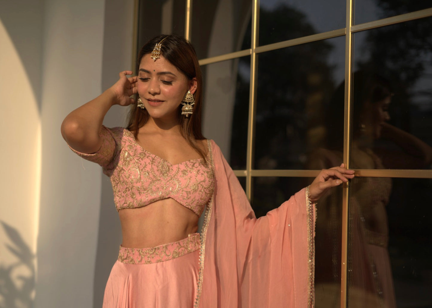 Aavya Lehenga Set - Light Pink